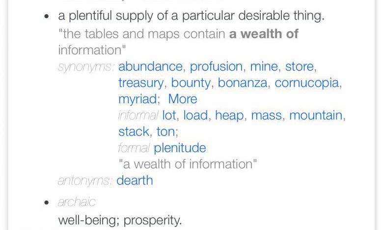 to define wealth